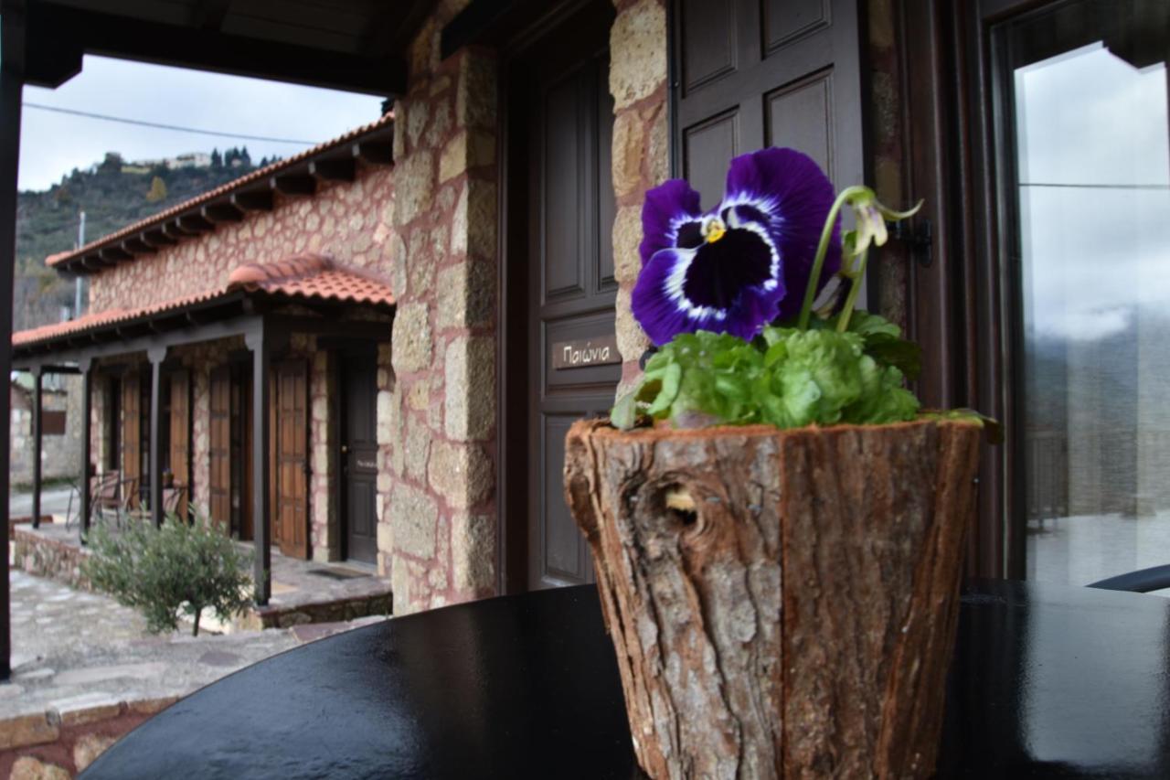 Kato Sinikia Trikalon Paliokastro Guesthouse מראה חיצוני תמונה